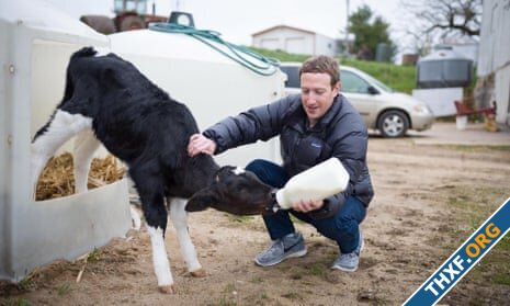 alt=Mark Zuckerberg