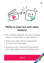 TikTok เปิดให้สร้างวิดีโอสติกเกอร์ GIF ใช้ส่ง DM ถึงกันได้