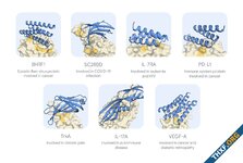 DeepMind เปิดตัวปัญญาประดิษฐ์ออกแบบโปรตีนจับมะเร็ง, HIV, COVID เปิดทางออกแบบยาจำนวนมาก