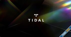 Tidal ปลดพนักงาน 25% ยุบฝ่าย Product และ Marketing