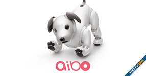 Sony รับบริจาค Aibo ที่ไม่ใช้งานแล้ว เพื่อซ่อมแซมและมอบให้องค์กรที่ต้องการอุปกรณ์ดูแลจิตใจ