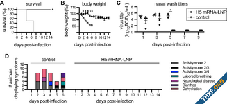 นักวิจัยทดสอบวัคซีน mRNA ไข้หวัดนกในสัตว์ได้ผลดีมาก พัฒนาวัคซีนได้ในระดับชั่วโมงเท่านั้น